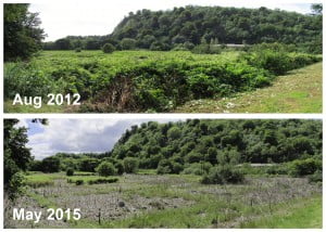 ReducedTW 2012 2015 Comparison-300x214 ReducedTW 2012 2015 Comparison-300x214